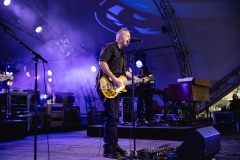 ISBELL371
