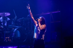LANY665