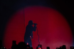 LANY987