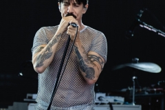 DSC_4341