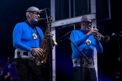 Bats406